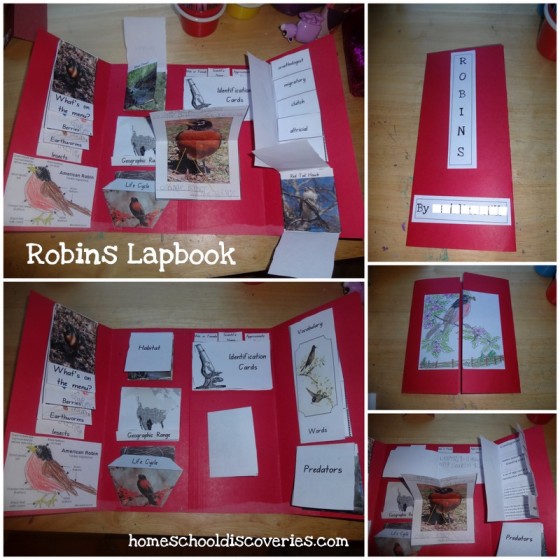 Robins Lapbook 2013